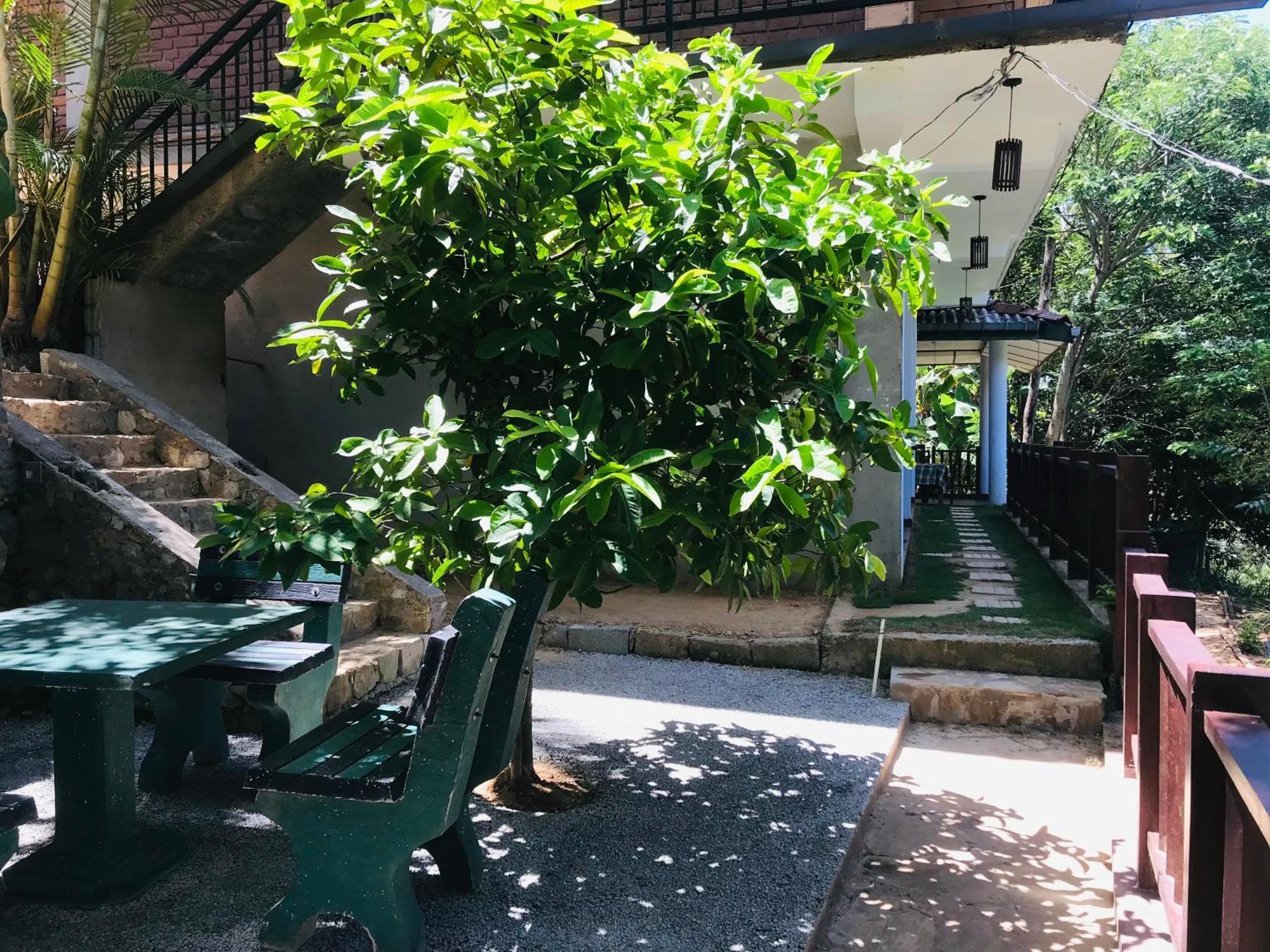 Ridge View Guest House -Ella Exterior foto